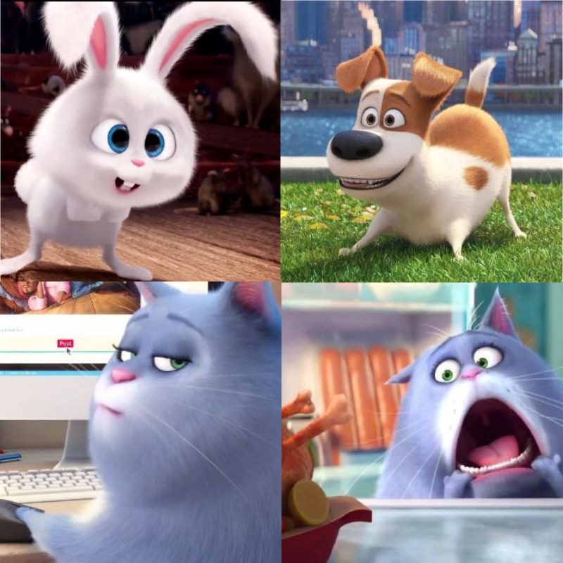 Behind The Screen Story Of Secret Life Of&nbsp;Pets