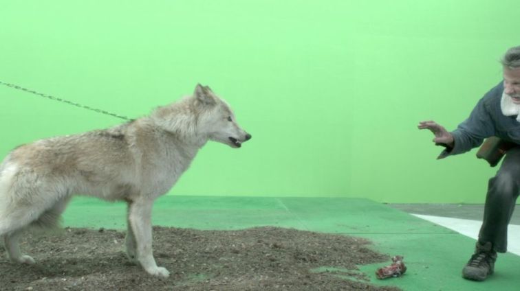 vfx course. vf institute