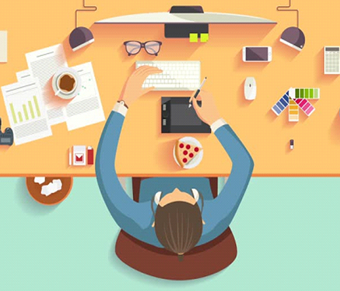 animation & multimedia