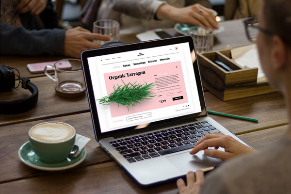 web design courses in Kolkata 